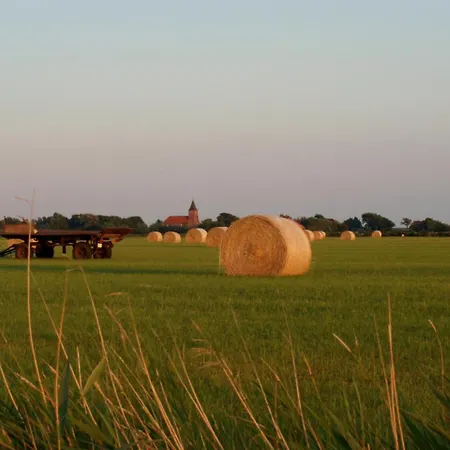 Meer Og Lejlighed Vesterhever